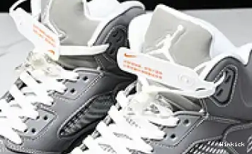 'Wolf Retro Grey' 136027-005 Jordan 5 0706